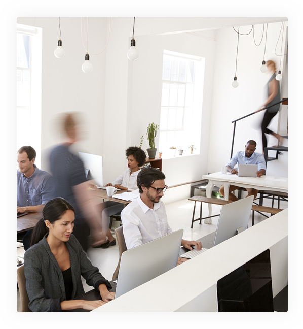 Apex Web Builders software development team