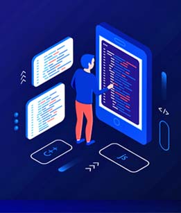 Apex Web Builders business software consultation
